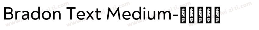 Bradon Text Medium字体转换